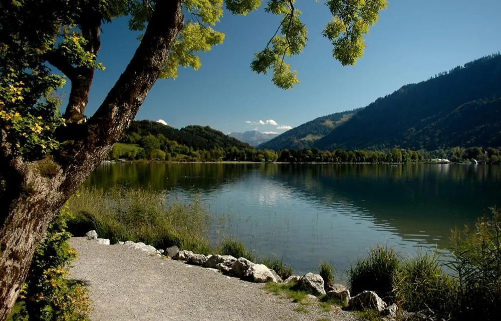 Aparte 3-Zi-Wohnung Im Oberallgaeu Direkt Am Berg! Immenstadt im Allgaeu