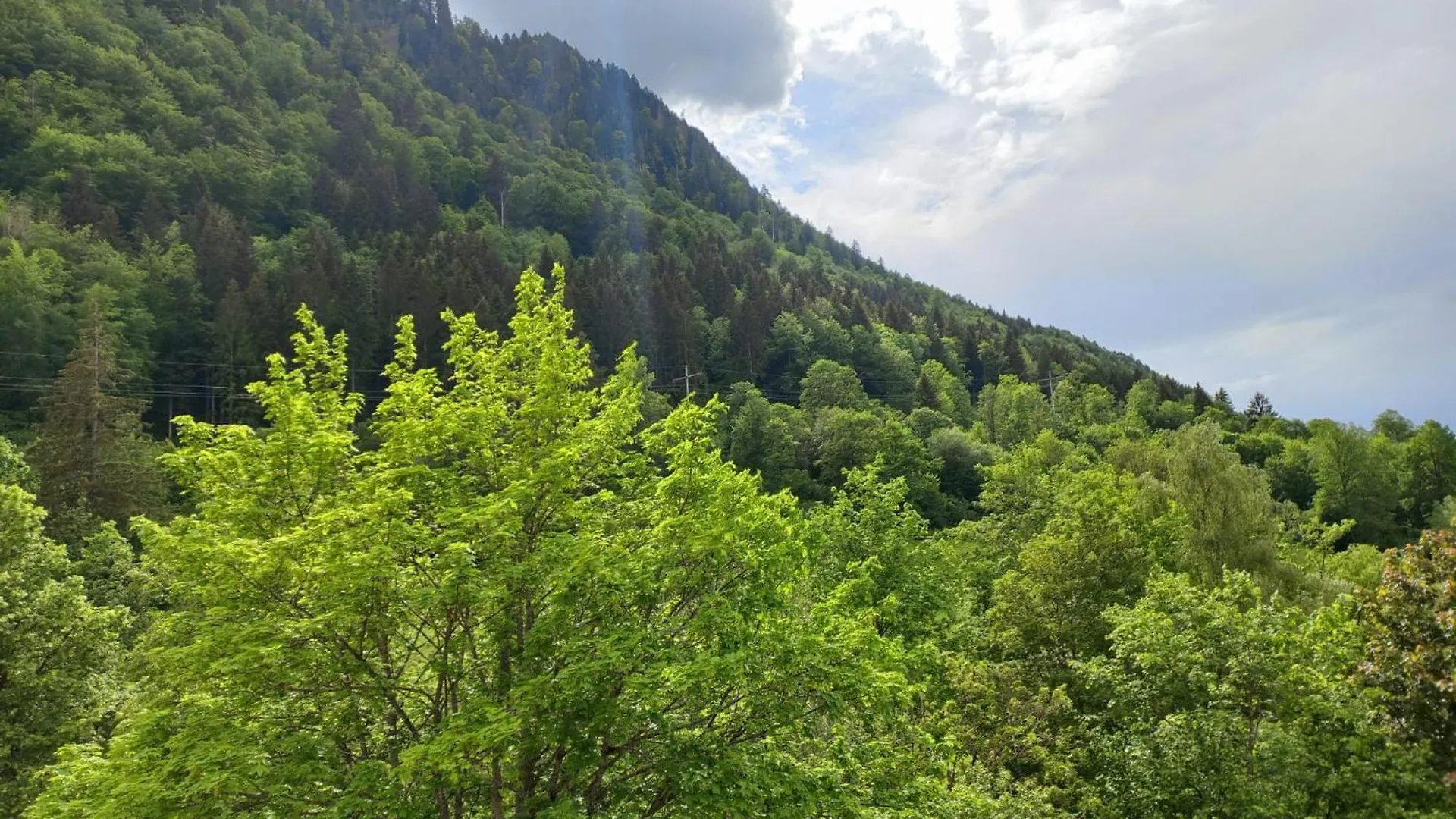 Aparte 3-Zi-Wohnung Im Oberallgaeu Direkt Am Berg! Immenstadt im Allgaeu Apartment