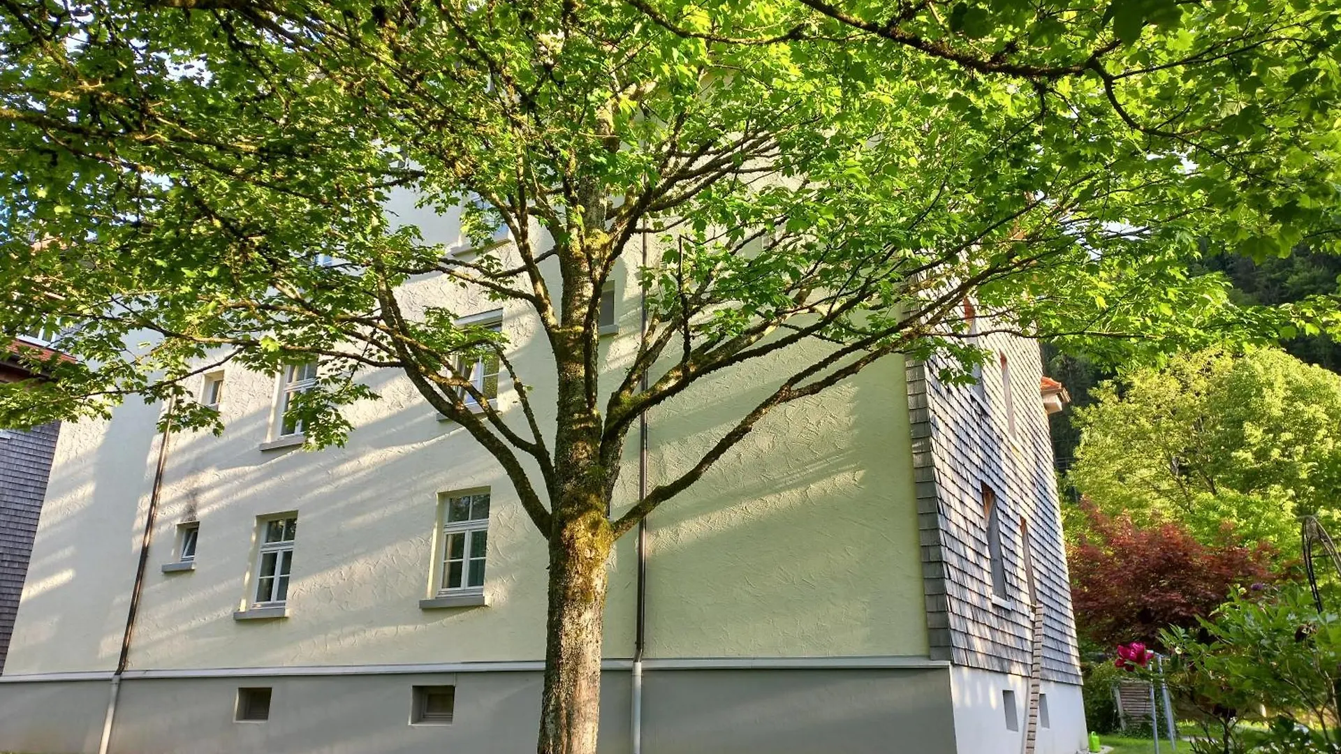 Aparte 3-Zi-Wohnung Im Oberallgaeu Direkt Am Berg! Immenstadt im Allgaeu Apartment