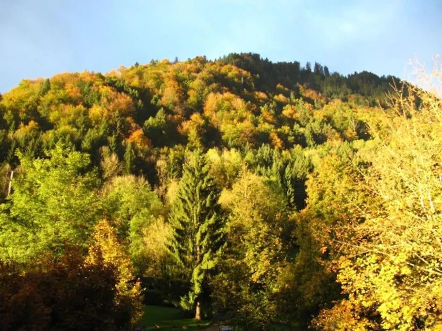 Apartment Aparte 3-Zi-Wohnung Im Oberallgaeu Direkt Am Berg! Immenstadt im Allgaeu